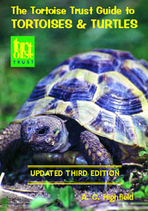 www.vidi-herp.com