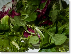 Salad 1