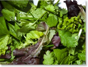 Salad 3