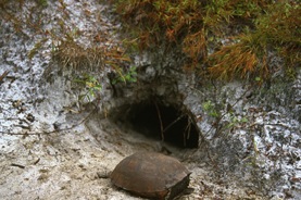 burrow72